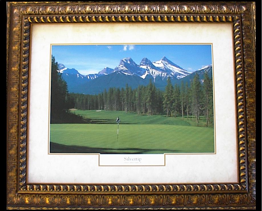 Silvertip Golf Course Bronze Frame Opaque Mat